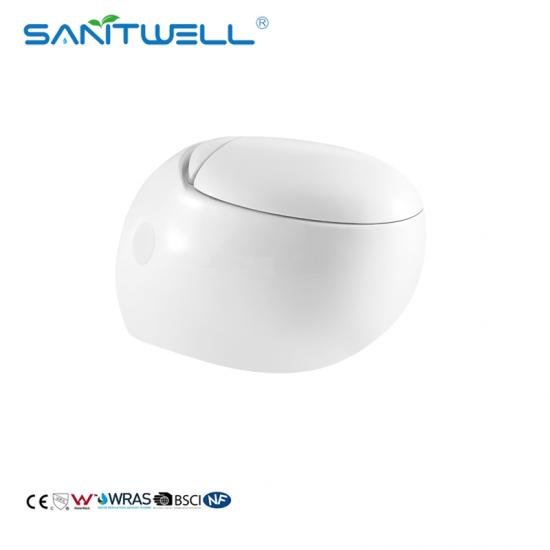 Egg Shaped Wall Hung Toilet