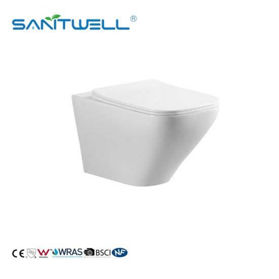 Wall Mount Toilet with In-Wall Tank