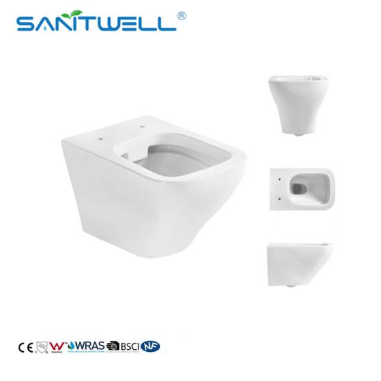 Wall Mount Toilet with In-Wall Tank
