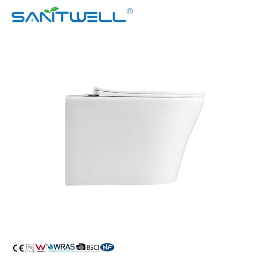Rimless Flushing Wall Hung Toilet Pan