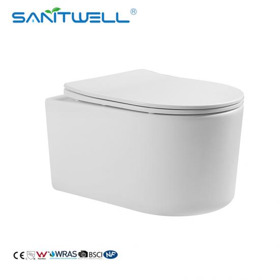 wall hung toilet