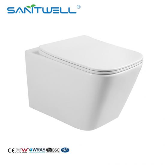 wall hung toilet