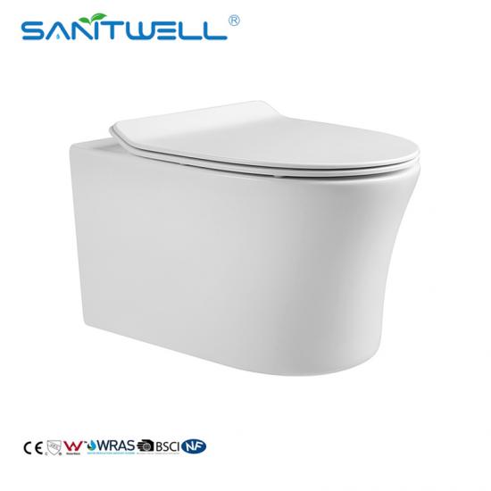 wall hung toilet