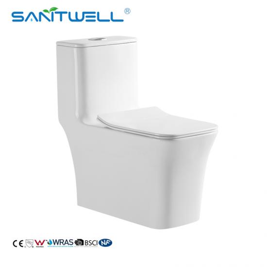 One Piece Water Closet WC Toilets