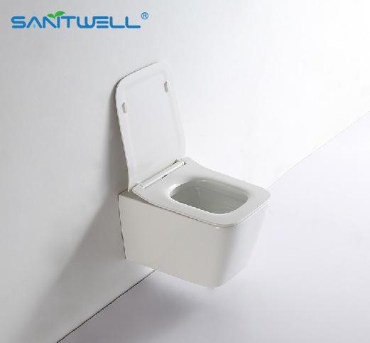  Water Closet Porcelain Toilet