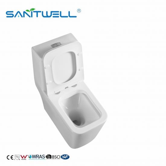 One Piece Toilet Manufacturer