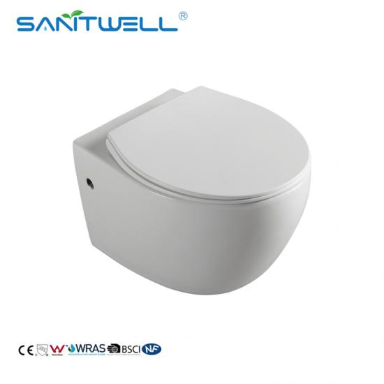 rimless wall hung toilet