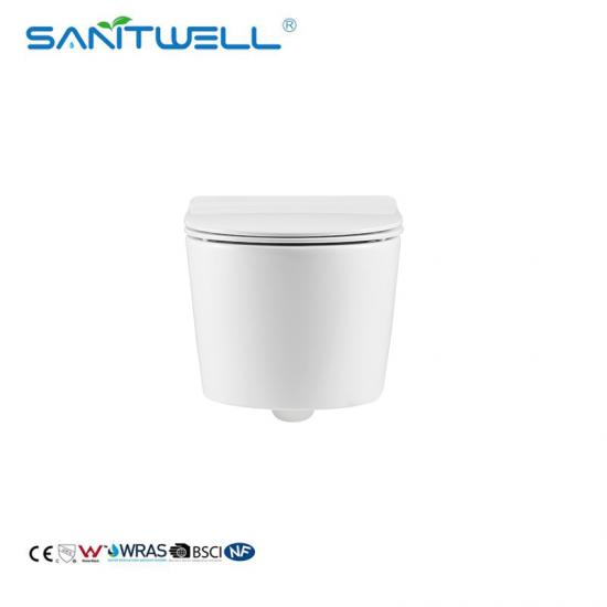 Wall Hung Toilet