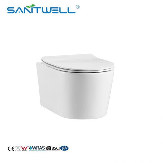 Wall Hung Toilet