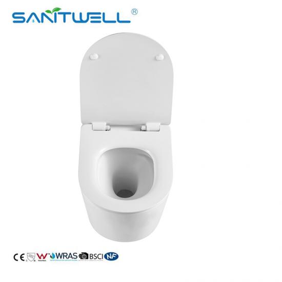 Rimless Flushing Wall Hung Toilet