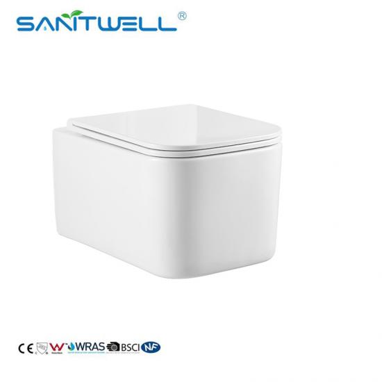 wall hung toilet