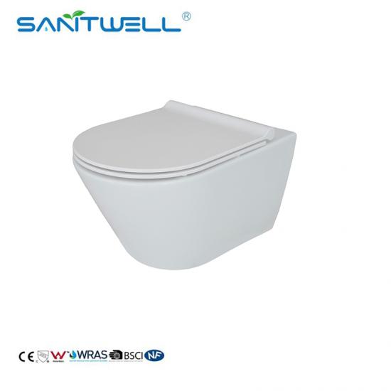 wall mounted toilet