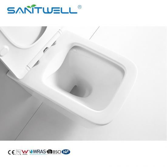 wall hung toilet