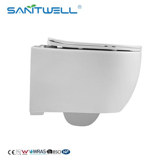 wall mounted toilet
