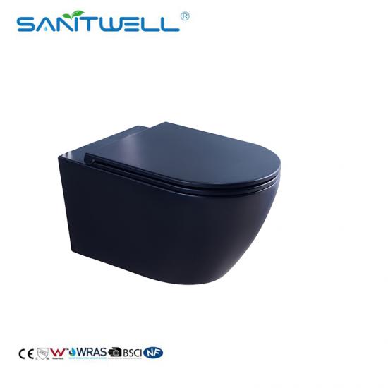 wall mounted toilet