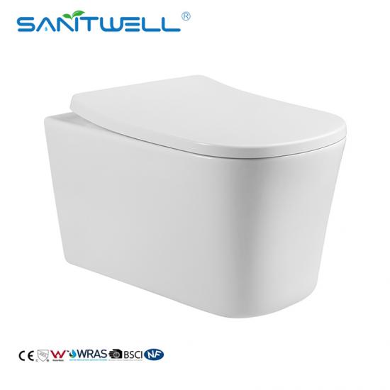 wall mounted toilet