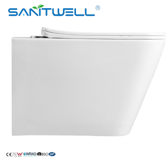 wall mounted toilet