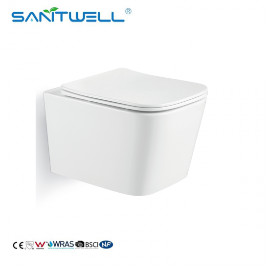 wall mounted toilet