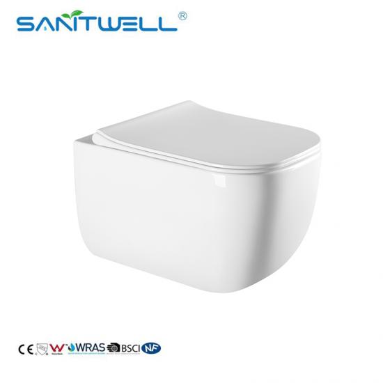 wall mounted toilet