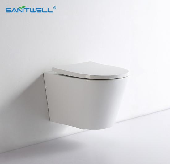 wall mounted toilet