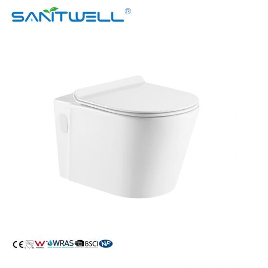 wall mounted toilet