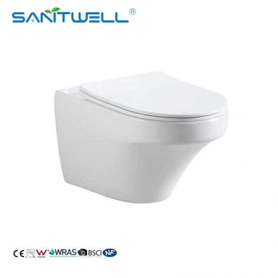 wall mounted toilet