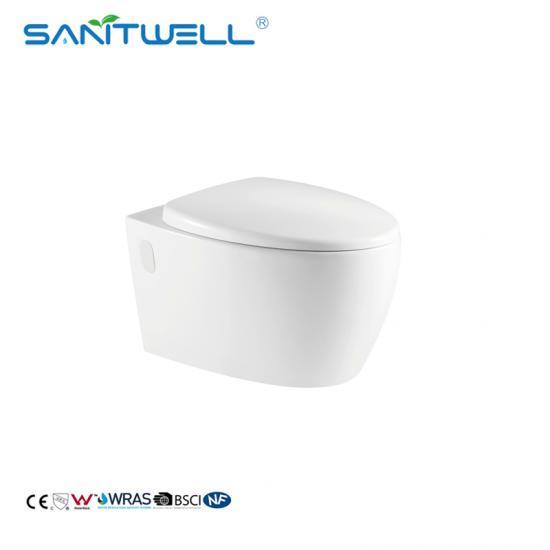 wall mounted toilet