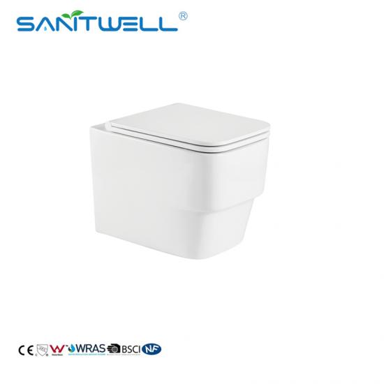 wall mounted toilet