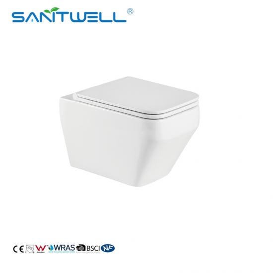 wall mounted toilet