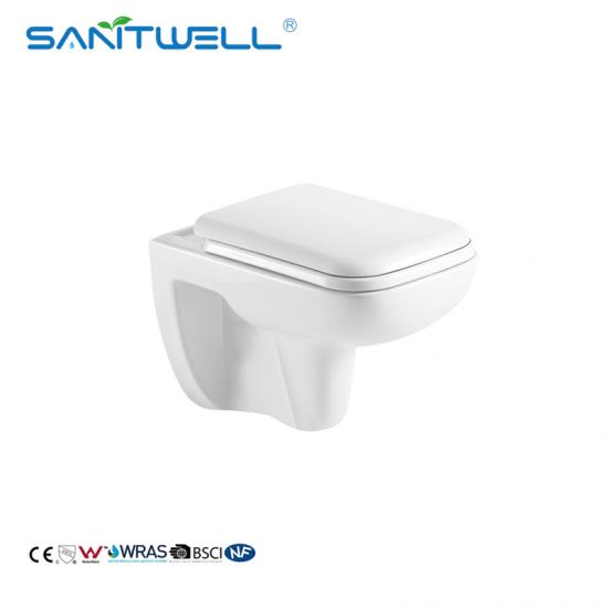 wall mounted toilet