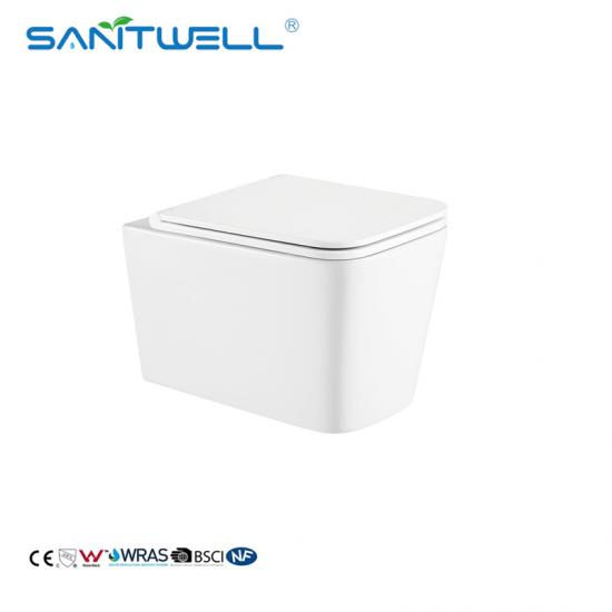 wall mounted toilet