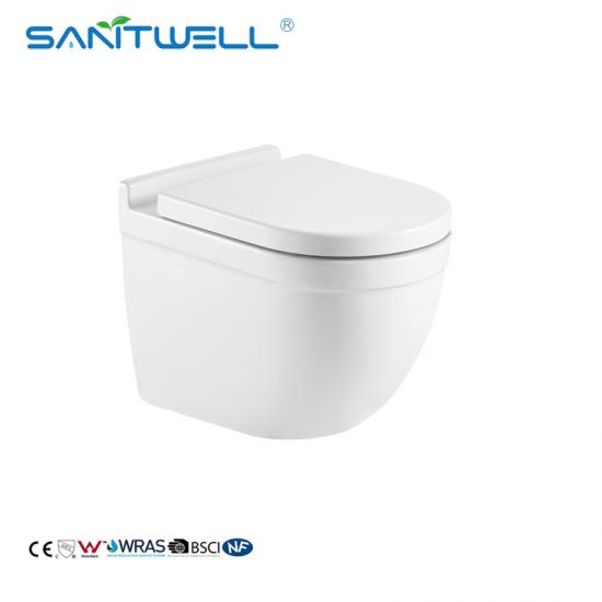 wall mounted toilet