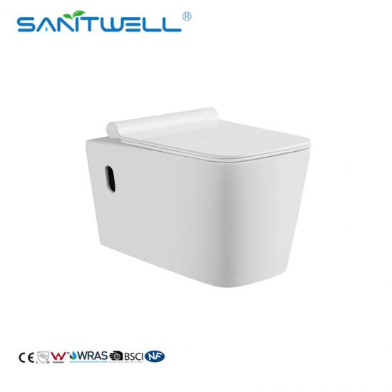 wall mounted toilet