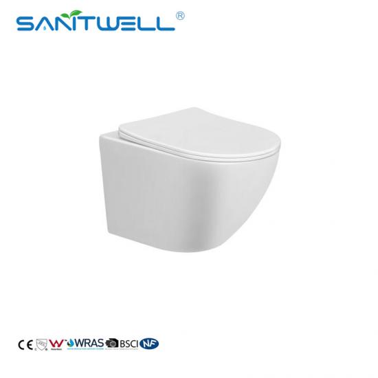 wall mounted toilet