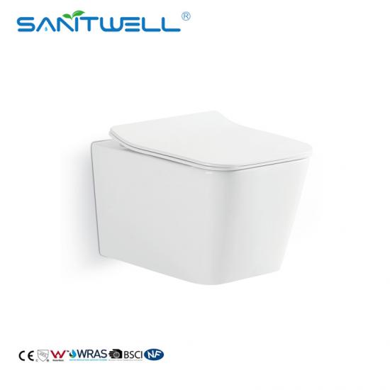 wall mounted toilet