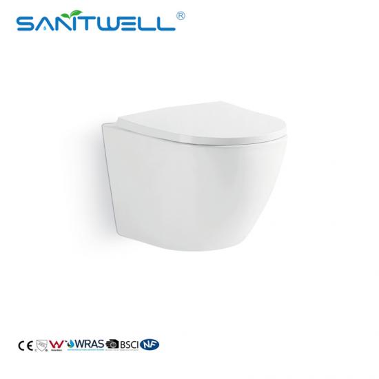 wall mounted toilet