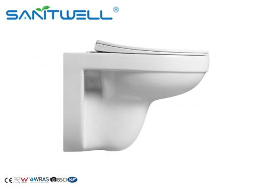 wall mounted toilet