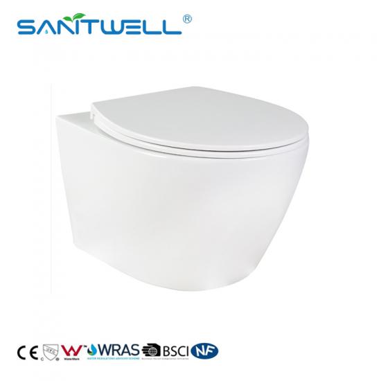 wall hung toilet