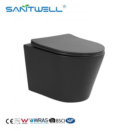 wall hung toilet