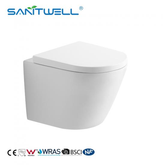 wall hung toilet