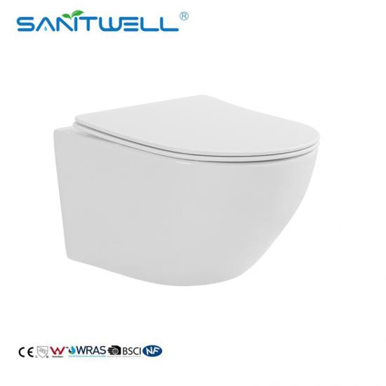 wall hung toilet