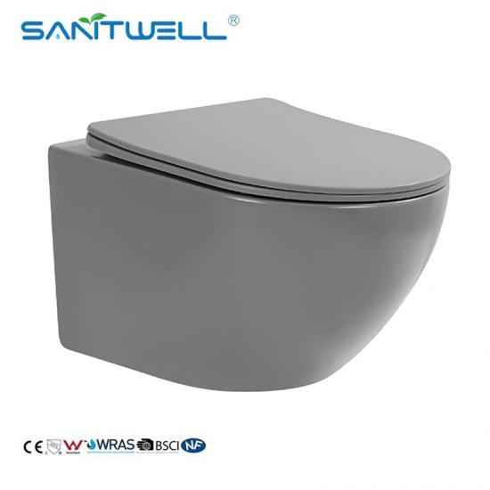 wall hung toilet