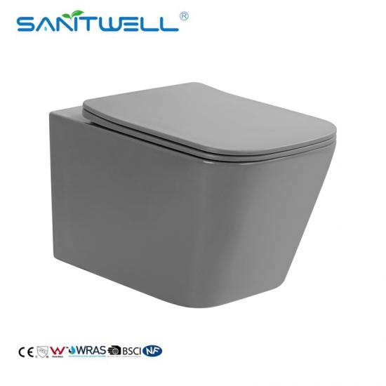 wall hung toilet