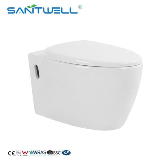 wall hung toilet