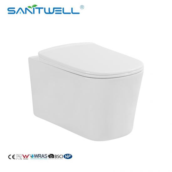 wall hung toilet