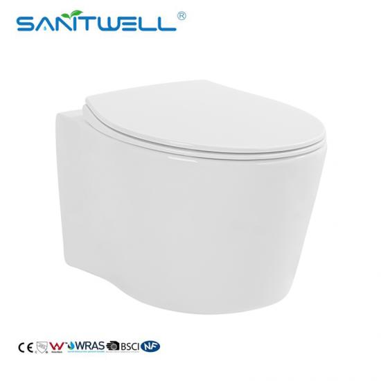 wall hung toilet