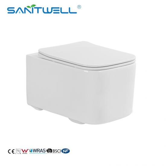 wall hung toilet