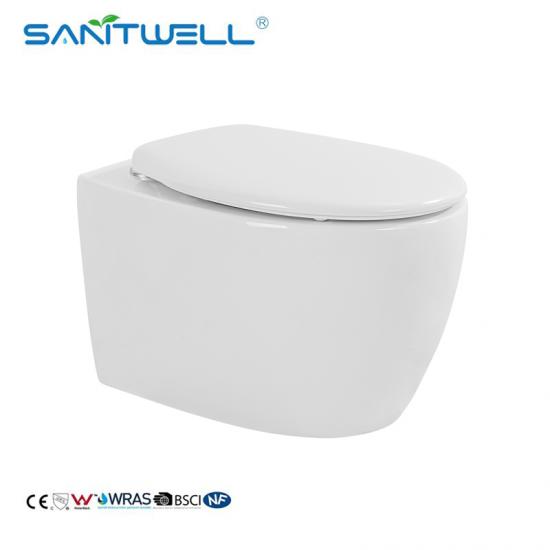 wall hung toilet