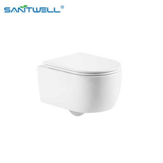 wall hung toilet
