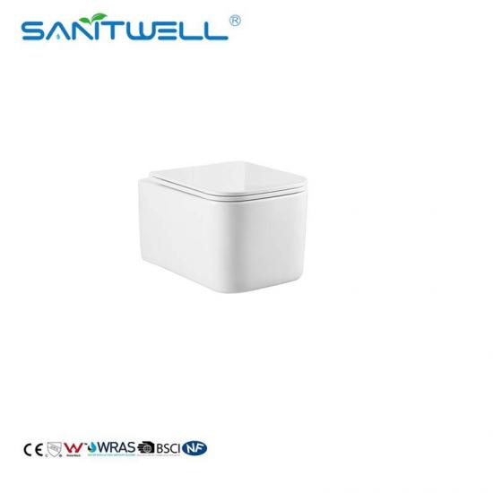 Wall hung toilet